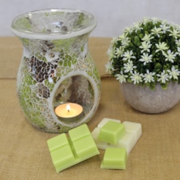 Wax Melter – Jade Crackle Wax Melter – Jade Crackle