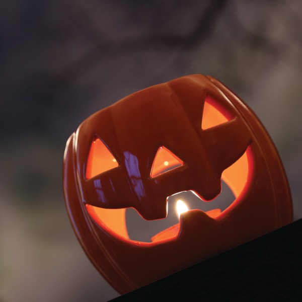 Orange Pumpkin Melter 11cm Orange Pumpkin Melter 11cm