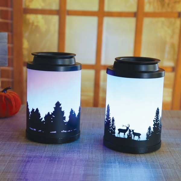 Cloudy Melter Forest 14cm Cloudy Melter Forest 14cm