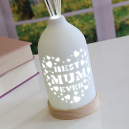 LED Ceramic Reed Diffuser Best 19cm