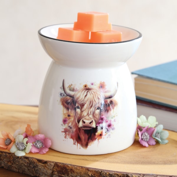 Highland Cow Melter 11cm Highland Cow Melter 11cm