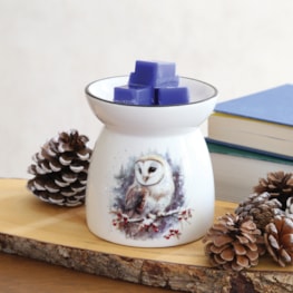 Owl Melter 11cm Owl Melter 11cm
