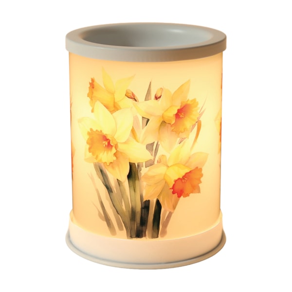 Electric Melter Daffodils 14cm Electric Melter Daffodils 14cm