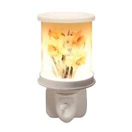 Plug In Daffodils 14cm