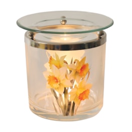 Daffodils Melter 10cm