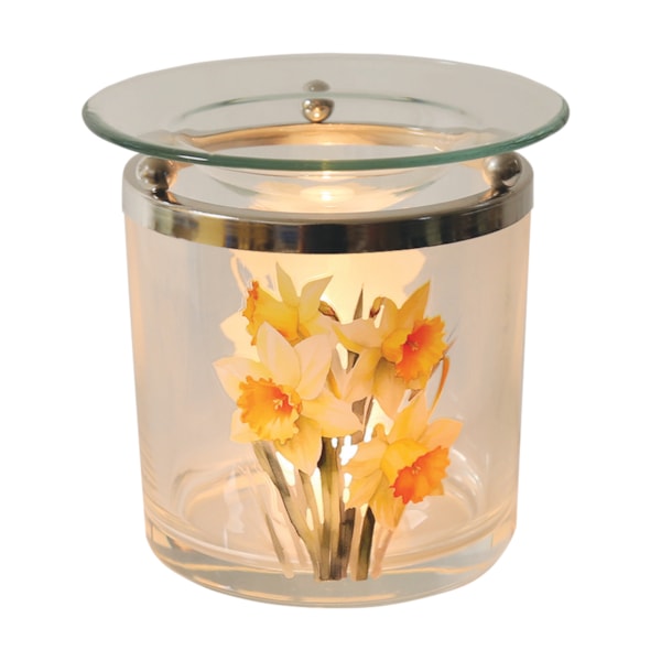 Daffodils Melter 10cm