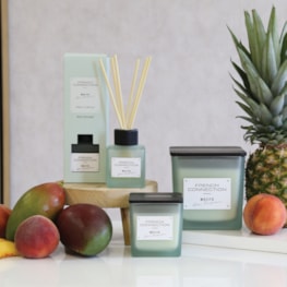 Mango Mojito Candle by French Connection 800g Mango Mojito Candle by French Connection 800g