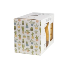 Woodbridge Wax Melts & Tealight Melter Set – Home Sweet Home