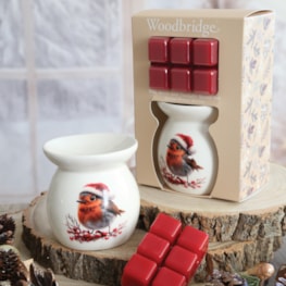 Woodbridge Wax Melts & Tealight Melter Set – Robin Woodbridge Wax Melts & Tealight Melter Set – Robin