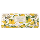 Lemon Basil Set 3 Soap Gift Set by Michel Design Works Lemon Basil Set 3 Soap Gift Set by Michel Design Works