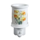 Plug In Daffodils 14cm Plug In Daffodils 14cm