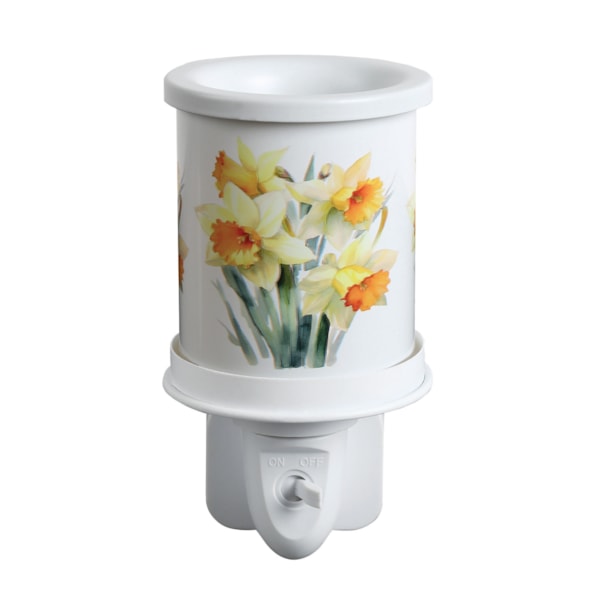 Plug In Daffodils 14cm Plug In Daffodils 14cm