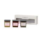 Autumn Collection Trio of Candles Set by French Connection 3 X 55g Autumn Collection Trio of Candles Set by French Connection 3 X 55g