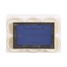 Starry, Starry Nights - Tealights (12 Pieces) Starry, Starry Nights - Tealights (12 Pieces)