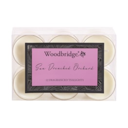 Sun Drenched Orchard - Tealights (12 Pieces) Sun Drenched Orchard - Tealights (12 Pieces)