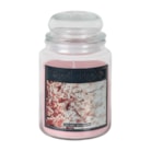 Cherry Blossom 500g Jar by Woodbridge Cherry Blossom 500g Jar by Woodbridge