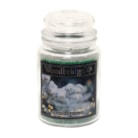 Frosted Fir & Cedar 500G Jar by Woodbridge