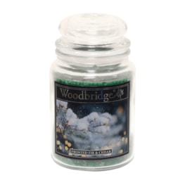 Frosted Fir & Cedar 500G Jar by Woodbridge