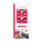 Pack 10 Tealights Night Before Christmas by Woodbridge