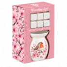Woodbridge Wax Melts & Tealight Melter Set – Spring Robin Woodbridge Wax Melts & Tealight Melter Set – Spring Robin